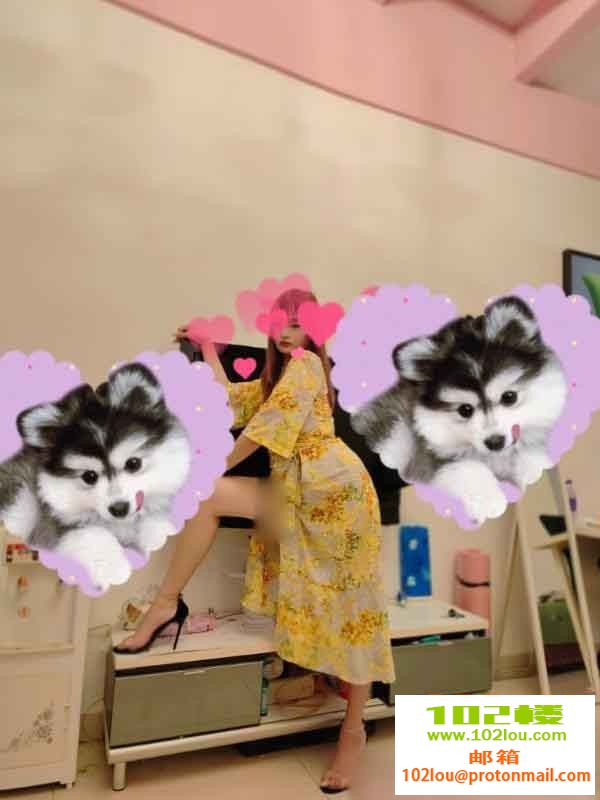 132833ntabuu1fwhcrf10z.jpeg